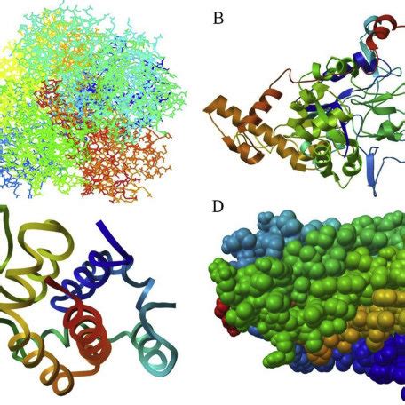 Docking structure for nitrate reductase enzyme (A) A9VSW1, (B) A9VSW2,... | Download Scientific ...