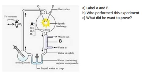 CBSE Class 12 Biology Evolution diagrams based questions