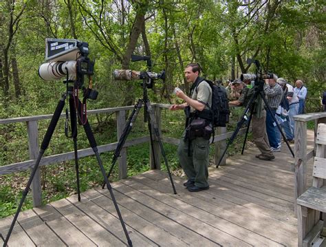 Birding Magee Marsh