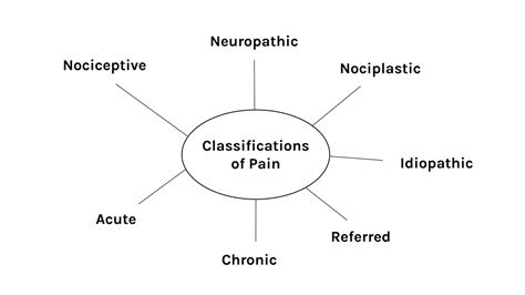 Classifying Pain – Introduction to Health Assessment for the Nursing Professional-Part II