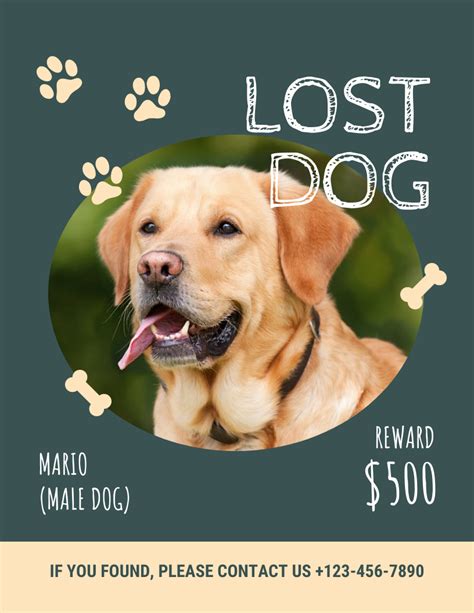 Mineral Green Lost Dog Flyer Template - Venngage