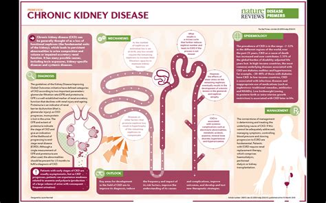 'Chronic Kidney Disease'- a new Nature Reviews Disease Primer by NEPHSTROM researchers - Nephstrom