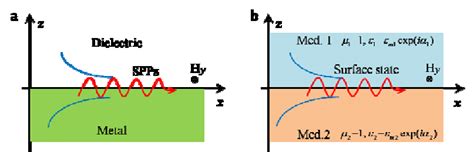 | Surface polaritons existed at an interface of two media. a, Surface ...