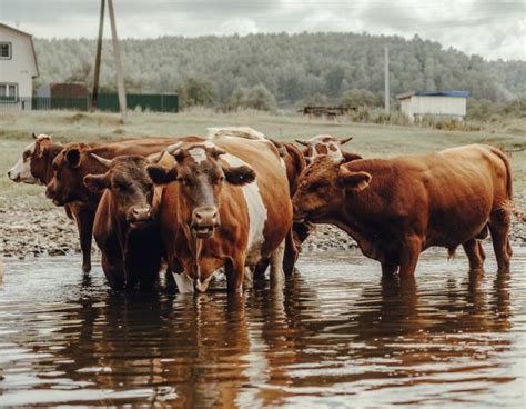 How to Prevent Your Farm from Flooding | Koenig Equipment