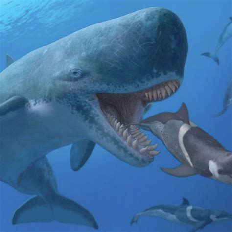 Giant Whale Prehistoric