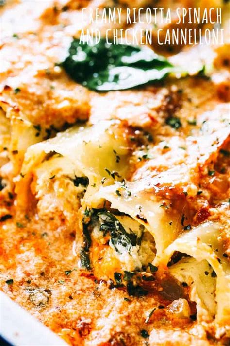 Creamy Ricotta Spinach and Chicken Cannelloni Pasta Recipe