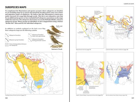 Bird In Everything: National Geographic Birds