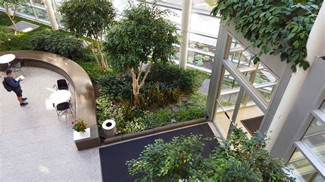 office atrium greenery - Plantscapers