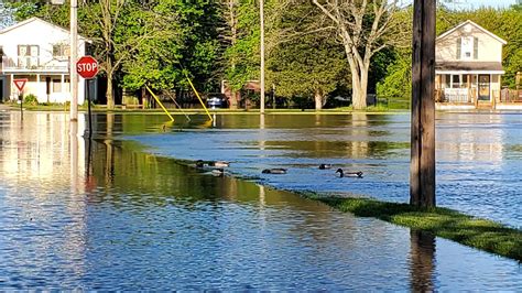 Scenes from Lowell: Flood of 2020 Edition - Lowell's First Look