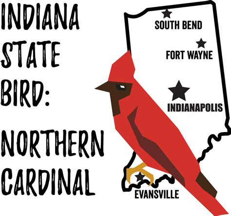 Indiana State Bird - Bird Watching Academy