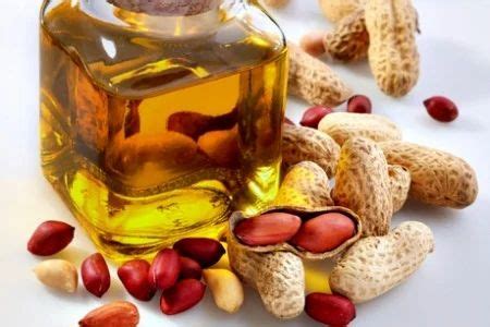 oil cooking groundnut at Rs 230/litre in Coimbatore | ID: 19480241633