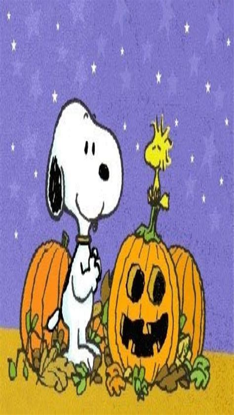 720P free download | Halloween Snoopy, snoopy, woodstock, brown, pumpkin, halloween, peanuts ...