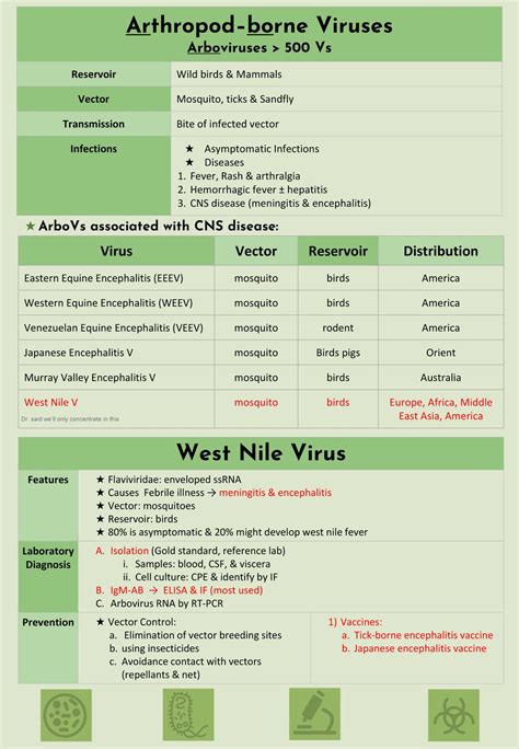 Objectives: Acute viral infections of the CNS. - ppt download