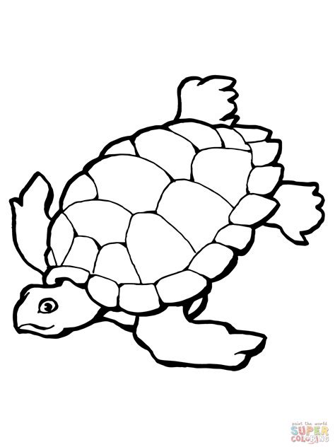 Turtle Coloring Pages Printable