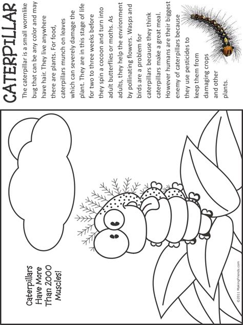 Bug Coloring Page | Caterpillar - MakingFriendsMakingFriends