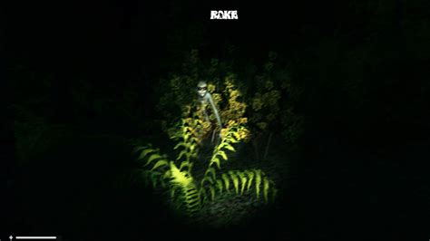 Download Rake Full PC Game