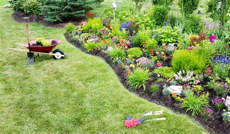 How to Reduce Yard Work :: Build.com