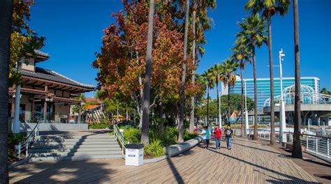 Visita Centro comercial y de entretenimientos Shoreline Village en Los ...