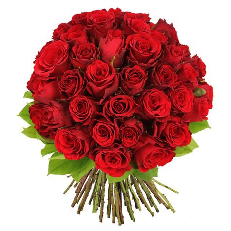 Bouquet de roses rouges » Voyage - Carte - Plan