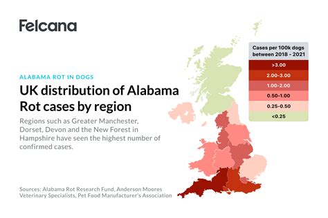 What is Alabama Rot in Dogs? [Updated 2022] | Felcana