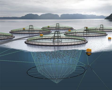 Aquaculture net - Egersundgroup - for fish cage