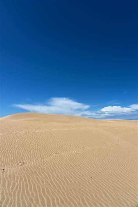 5K free download | Desert, sand, dunes, wavy, trace, sky, HD mobile wallpaper | Peakpx