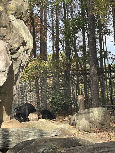 A Visit to North Carolina Zoo – Carolina Mom