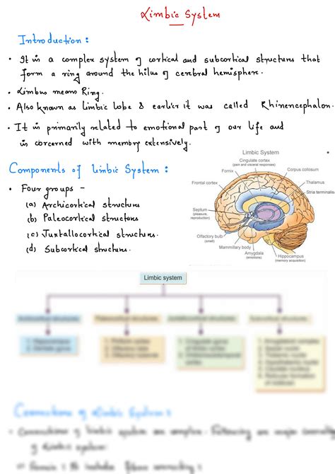 SOLUTION: Limbic system detailed notes with diagram - Studypool