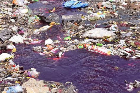 A river turns red: Pollution bleeds Hindon | Noida News - Times of India