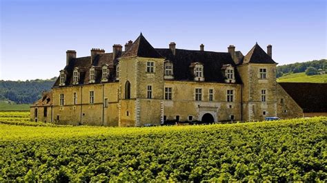 Why is it Château in Bordeaux and Domaine in Burgundy? – Le blog iDealwine