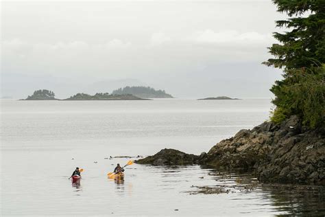 North Vancouver Island Guided Tour | Mosaic Earth Travel