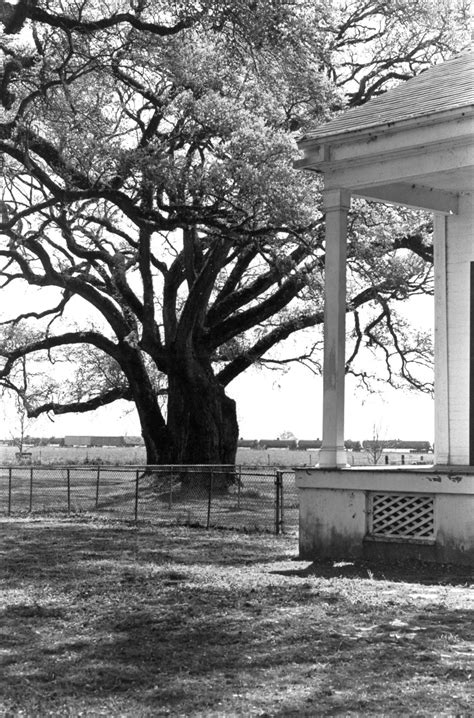 El Dorado Plantation House, Livonia Louisiana