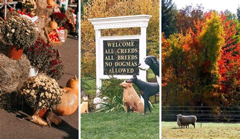 October Festivals in Vermont - Vermont Explored