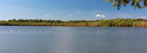 Home » Onondaga County Parks