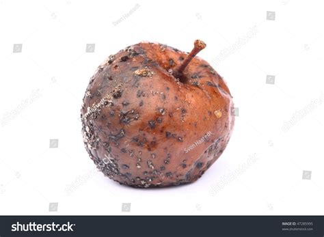 Moldy Apple On White Background Stock Photo 47285995 : Shutterstock