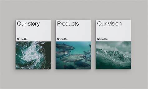 Nordic Blu on Behance