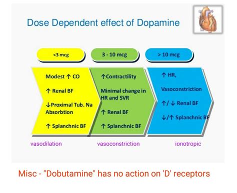 Dopamine vs Dobutamine | Nursing mnemonics, Dopamine receptor, Medical knowledge