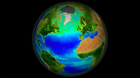 SVS: Phytoplankton Blooms through the Eyes of SeaWiFS Data