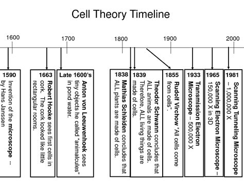 The Fundamental Unit of Life Blog 1