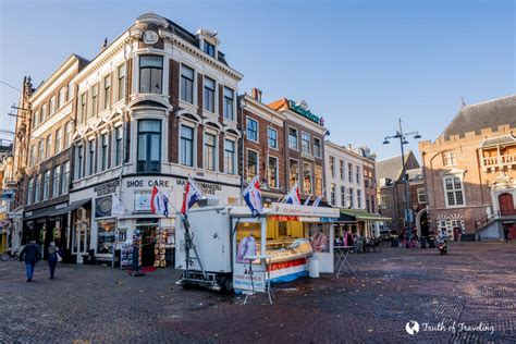 5 Reasons to Visit Haarlem in the Netherlands - Truth of Traveling