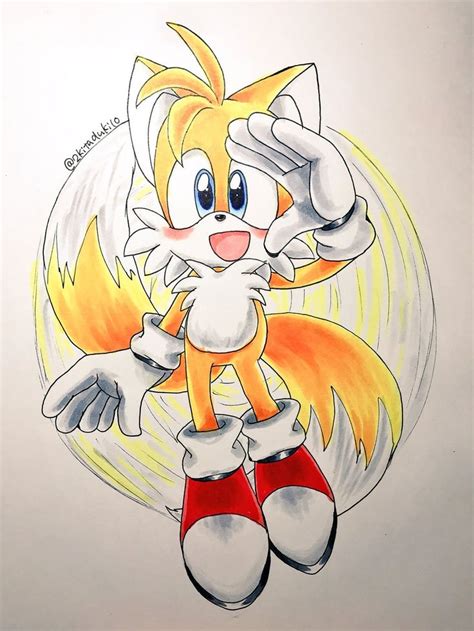 Pin de CCeyda . en Miles Tails Prower | Dibujos bonitos, Dibujos kawaii ...