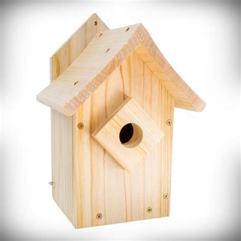 Build-A-Bird House and Paint Kit For Kids