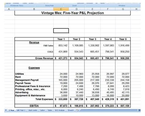 Five Year Plan Template Excel Lovely 5 Year Business Plan Template ...