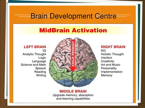 PPT - Midbrain Activation PowerPoint Presentation, free download - ID:7411089