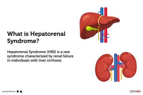 Hepatorenal Syndrome: Causes, Symptoms, Treatment and Cost