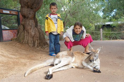 farleyfamily.net » perth zoo