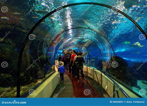 Barcelona Aquarium tunnel editorial photo. Image of huge - 54665841