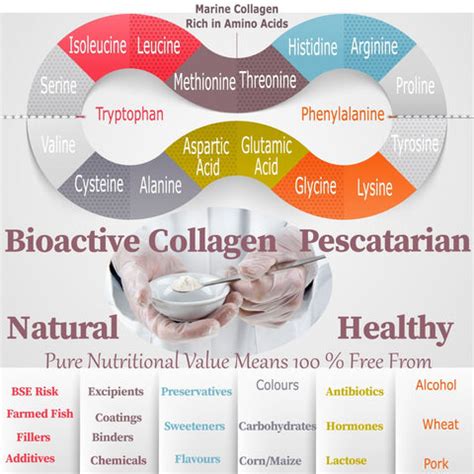 Collagen Amino Acids