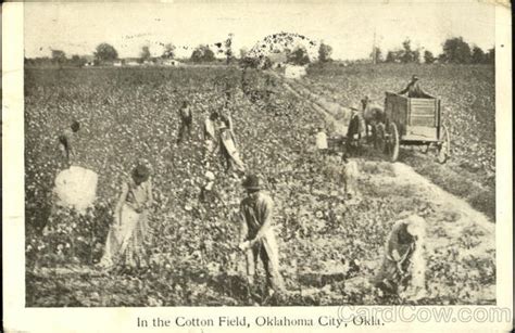 In The Cotton Field Oklahoma City, OK