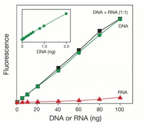 Qubit dsDNA HS Assay Kit